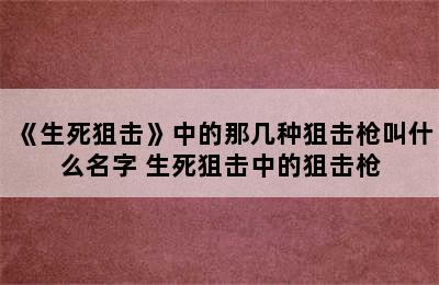 《生死狙击》中的那几种狙击枪叫什么名字 生死狙击中的狙击枪